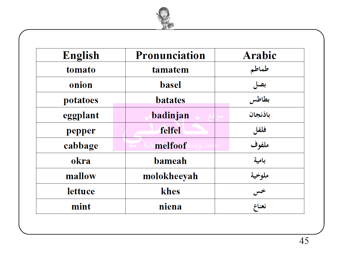 صورة رقم 047